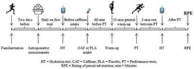 Moderate-dose caffeine enhances anaerobic performance without altering hydration status